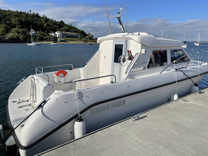 2002 Viksund 260 St Cruz