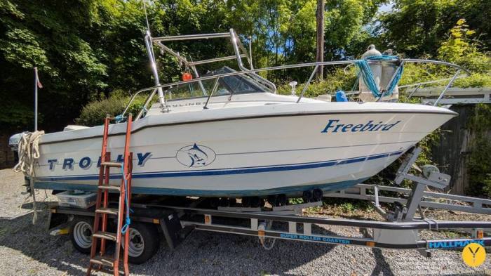 1993 Bayliner Trophy Walkaround 2102